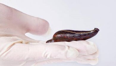 leech cream aron madugangan ang usa ka miyembro